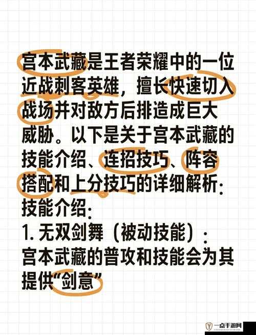 王者荣耀宫本武藏重做技能全面解析与评测，从资源管理视角探索高效运用策略